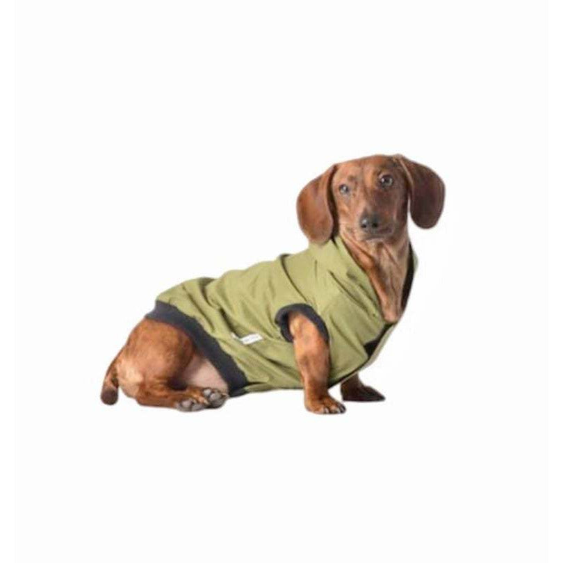 Dachshund wearing The Hunter rain jacket for dogs