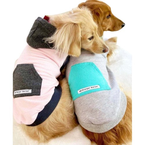 Two miniature dachshunds wearing The Sharper Barker quality fleece dog hoodies in 'Skye' and in 'Holly'