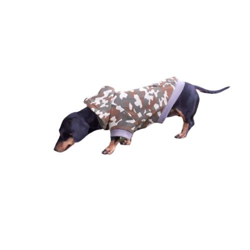 Side view of Ruby the miniature dachshund wearing green and brown camo dog jumper with hood